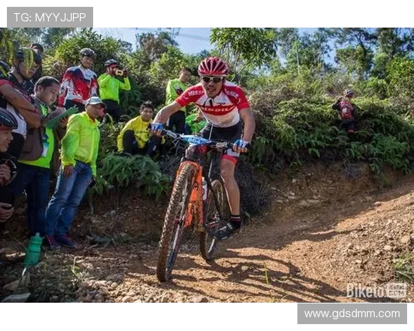 特鲁瓦主场迎战阿弗尔双方争夺关键积分展现实力较量 特鲁瓦主场迎战阿弗尔双方争夺关键积分展现实力较量