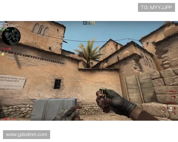 CSGO战术解析：WE战队防守体系的构建与应用探讨