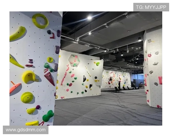 攀岩精神的力量：深入剖析西安攀岩队员的心理素质与挑战应对