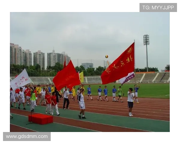深圳极限运动队的运营策略与市场推广全解析
